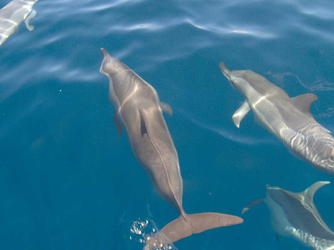 Vagabond Voile-Saint Louis必去景点