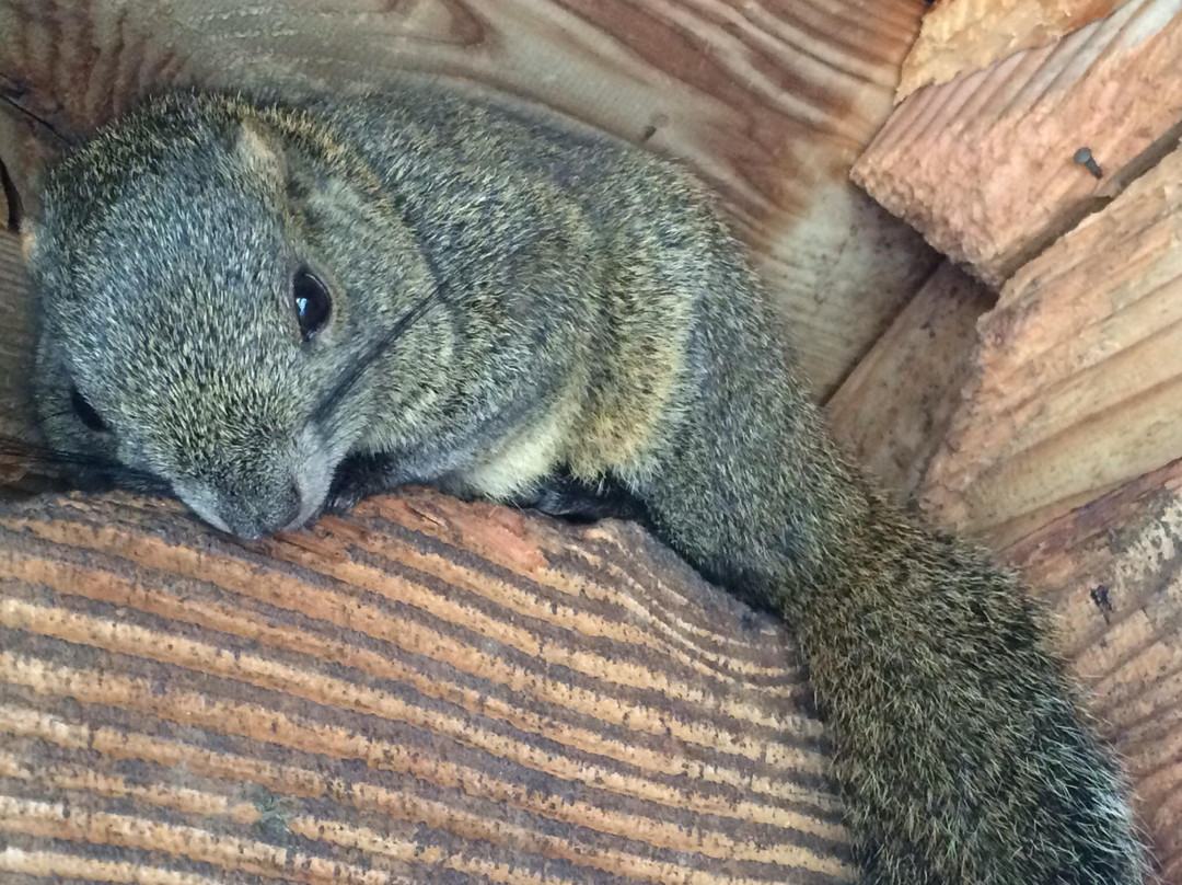 Shimin Fureai no Sato-大阪狭山市必去景点