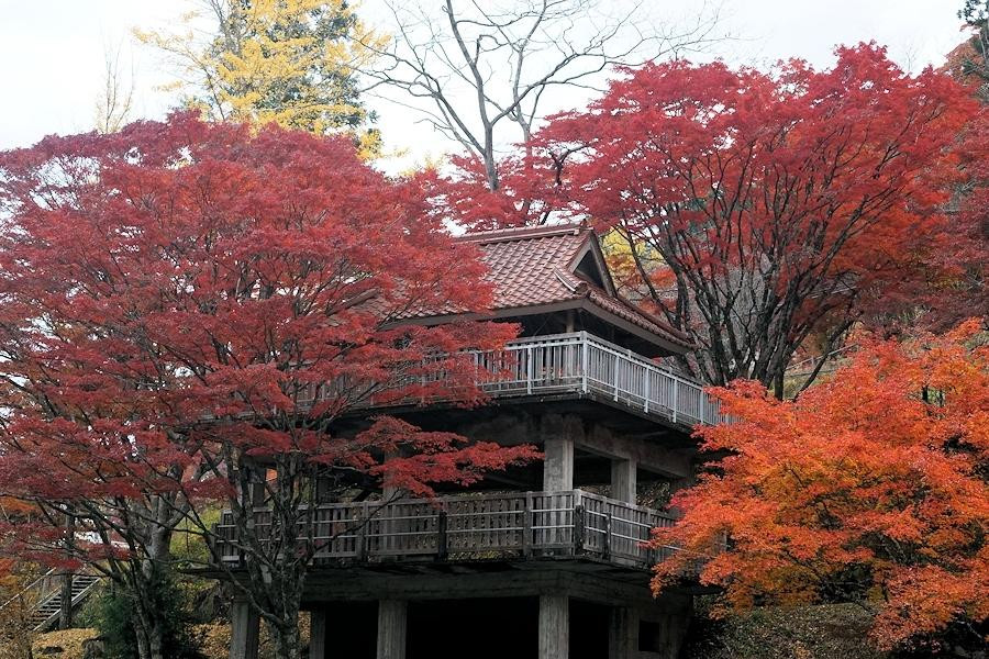 Oidaira Park-丰田市必去景点