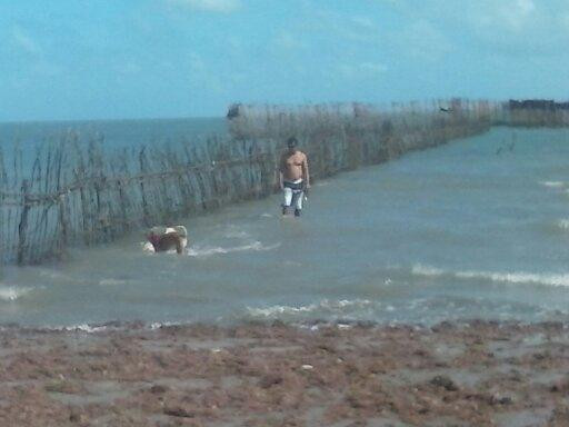 Aranau Beach-Prea必去景点