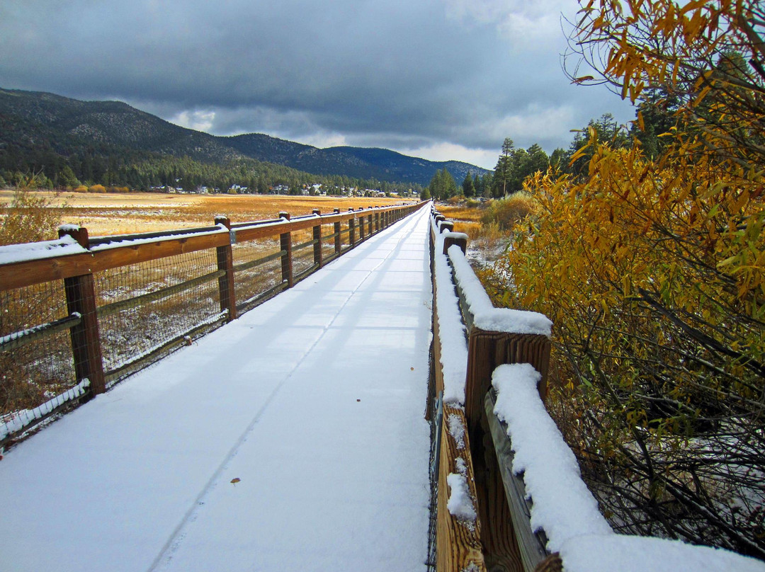 Stanfield Marsh Wildlife and Waterfowl Preserve-大熊湖必去景点