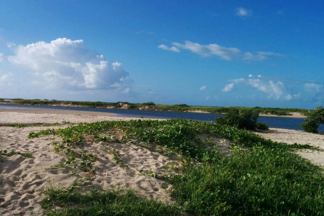 Pituba Beach景点图片