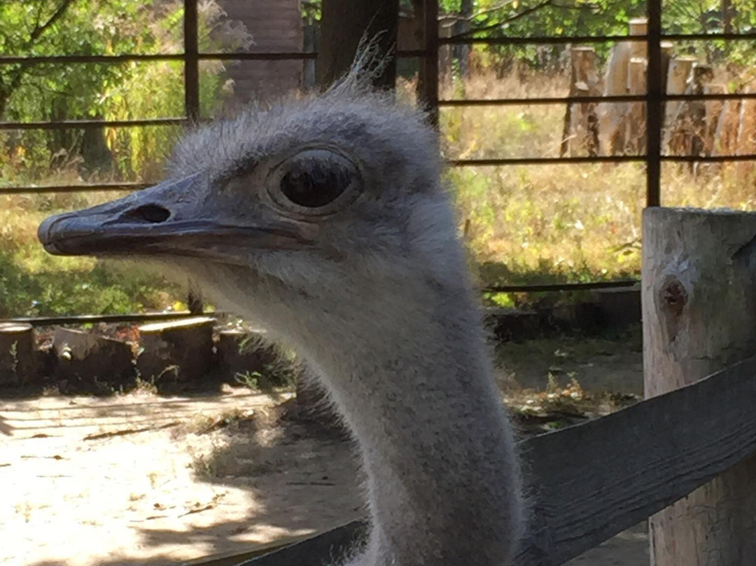 Cherkasy Zoo-Cherkasy必去景点
