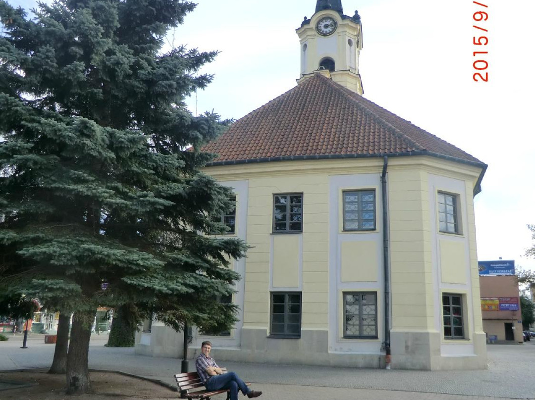 Museum in Bielsk Podlaski景点图片