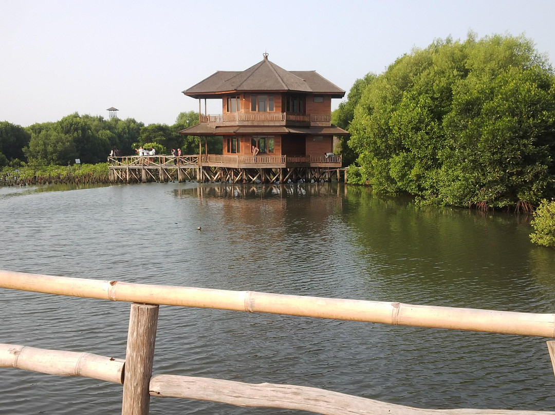 Alam Angke Kapuk Nature Park景点图片