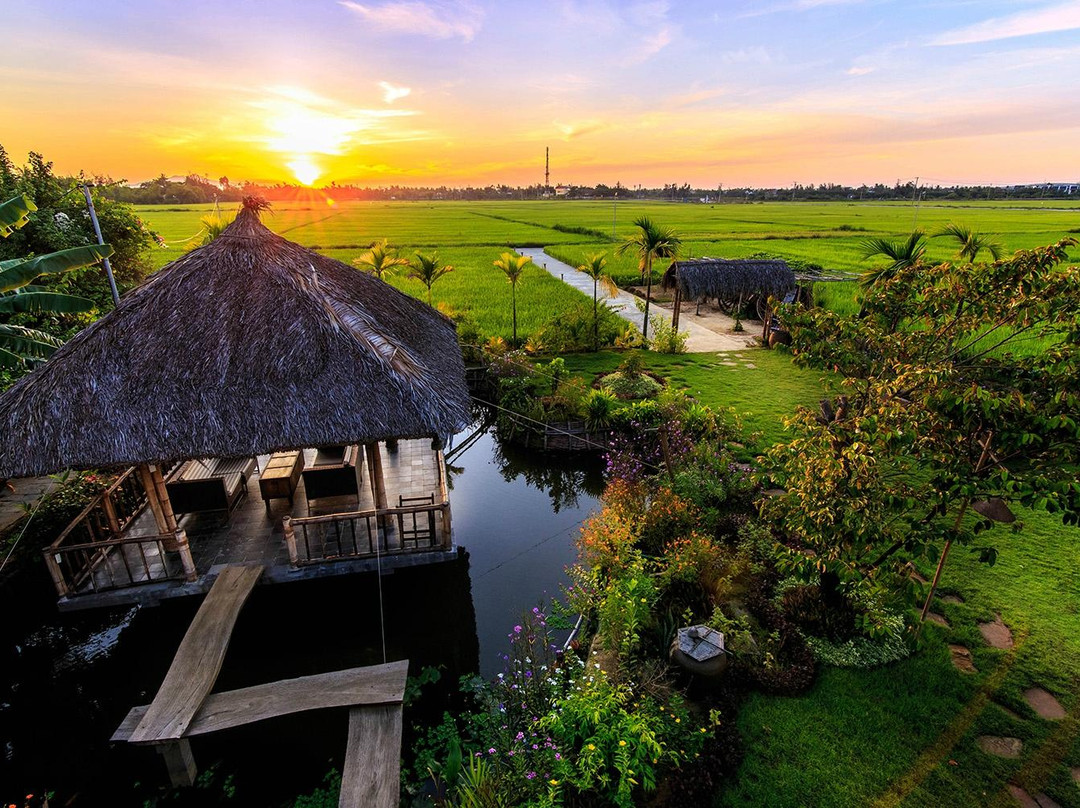 Cam Thanh餐馆和美食-The Field Hoi An