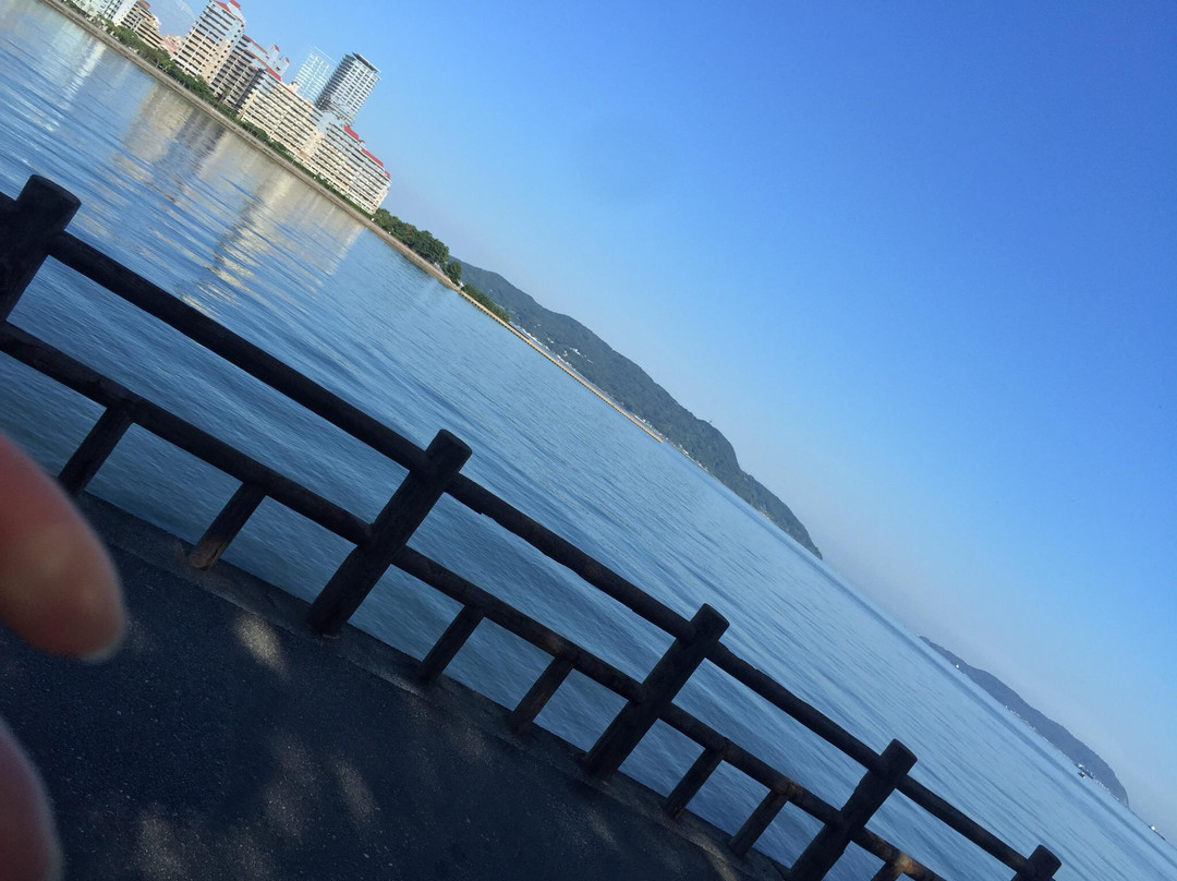 百道海滨公园景点图片