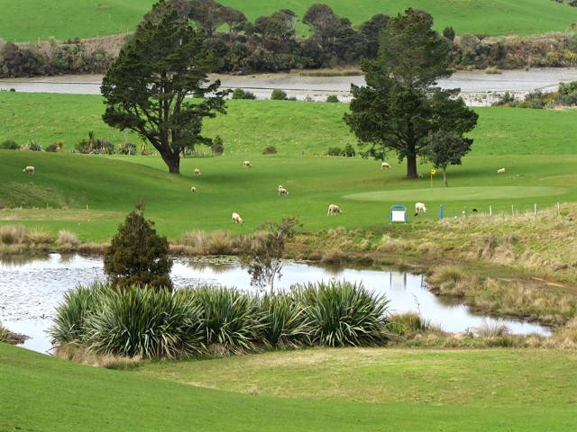 Raglan Golf Club-拉格伦必去景点