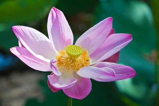 Sippy Downs旅游景点-Ayurveda & Yoga Therapy Clinic