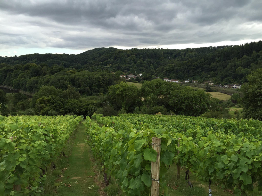 Parva Farm Vineyard景点图片