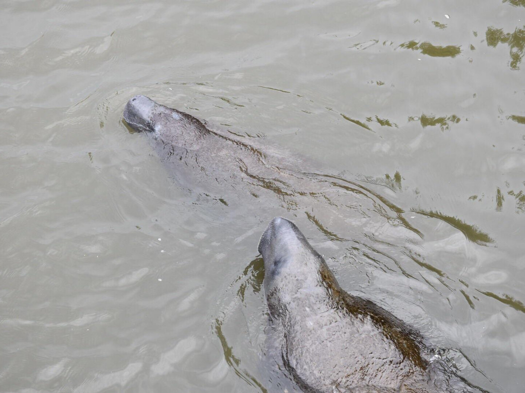Round Island Beach Park-维罗海滩必去景点