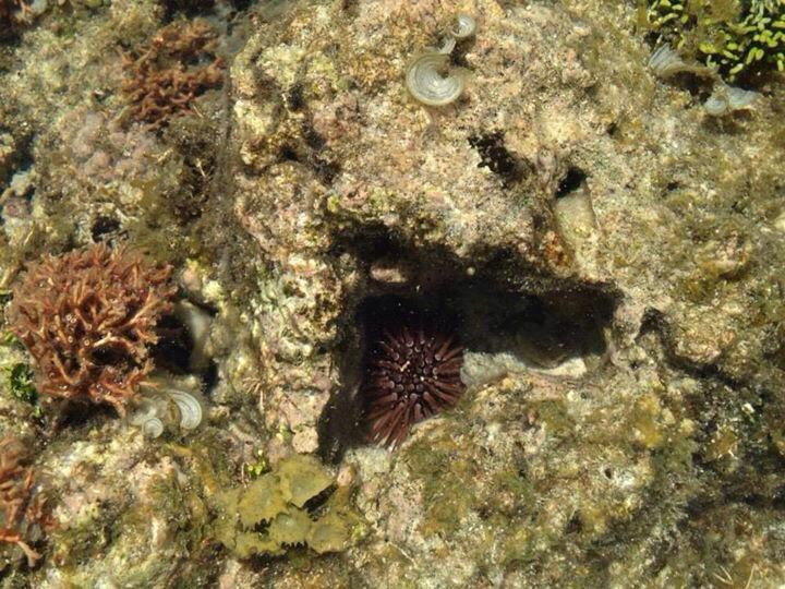 Gab Gab Beach-Santa Rita必去景点