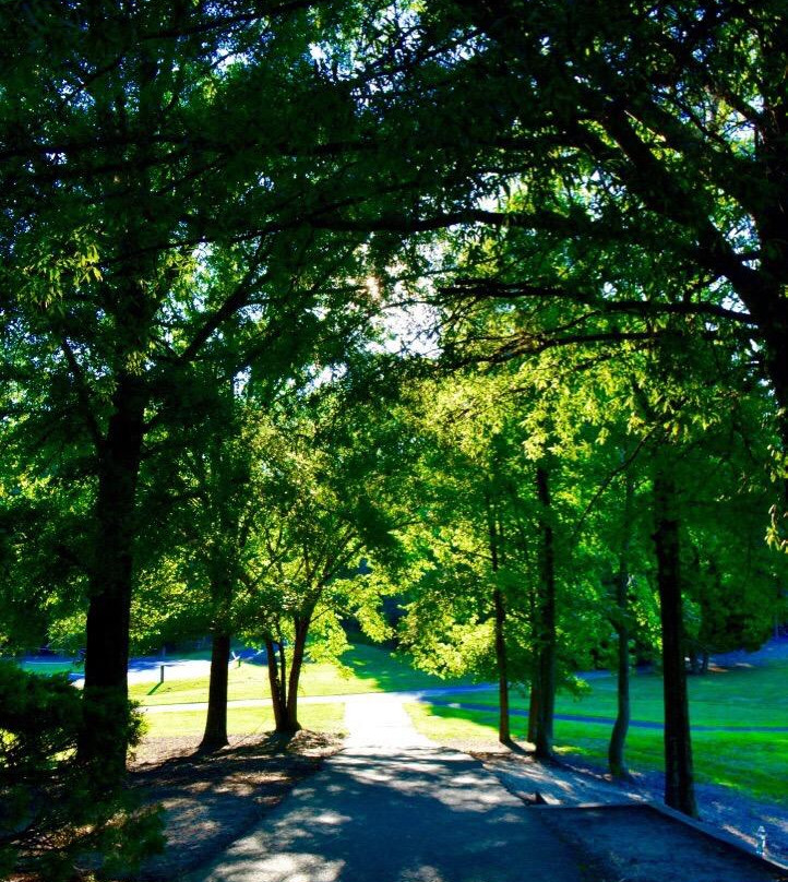 Three Lakes Park & Nature Center-里士满必去景点