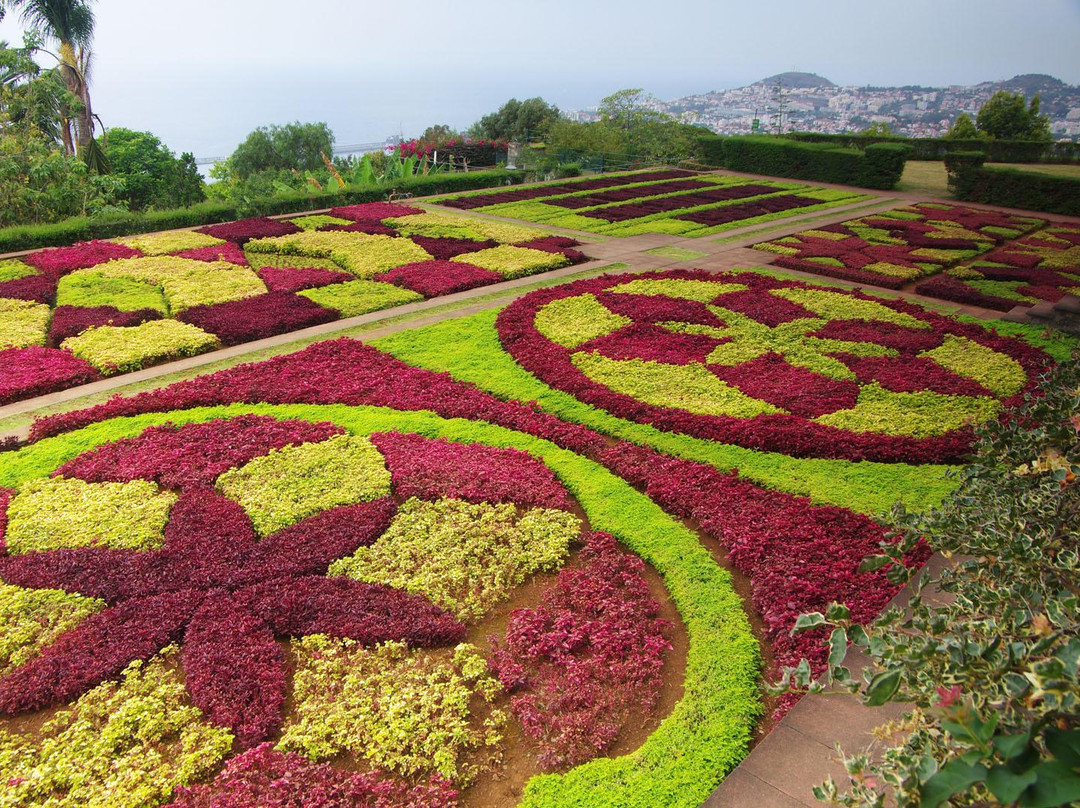 Madeira Botanical Garden-沙尔必去景点