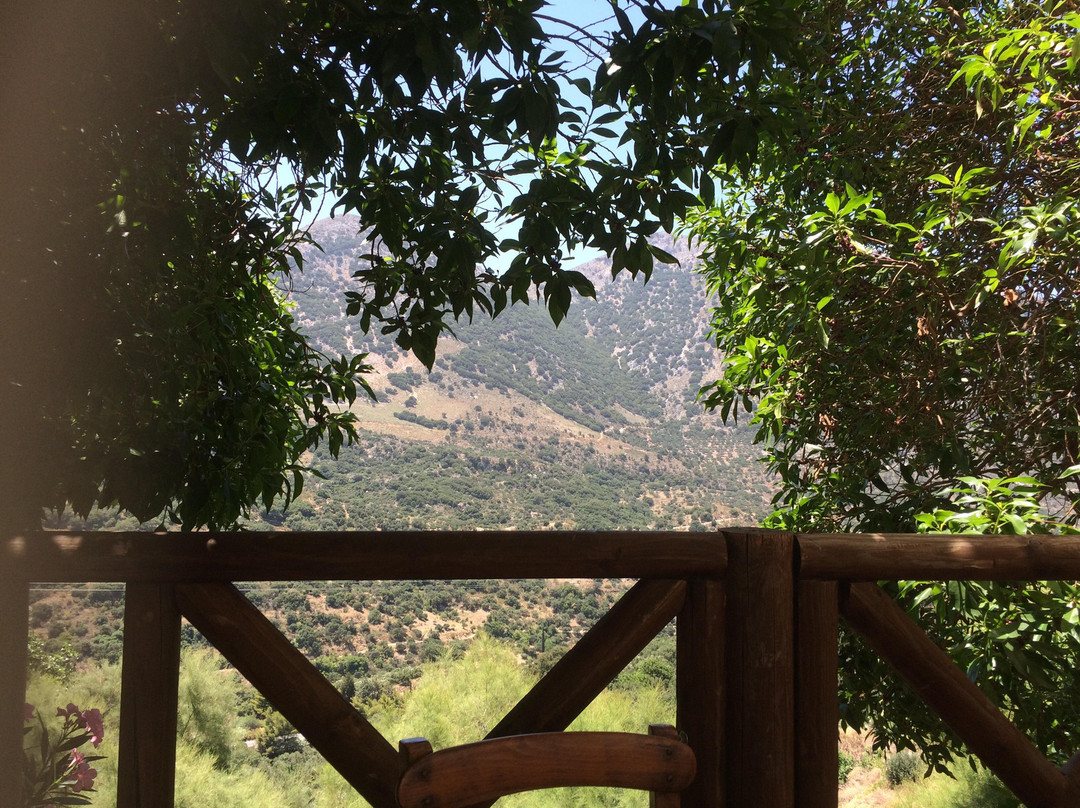 Happy Train Sissi-Sissi必去景点