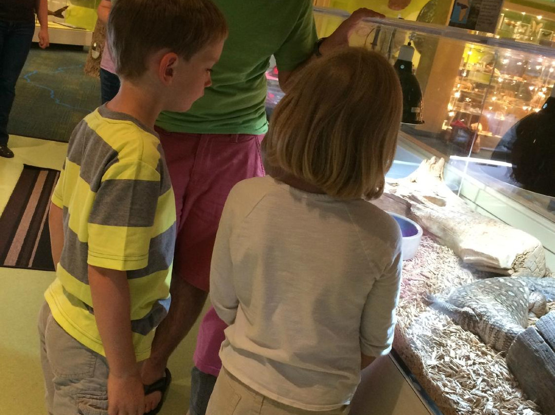 North Museum of Nature and Science-兰卡斯特必去景点