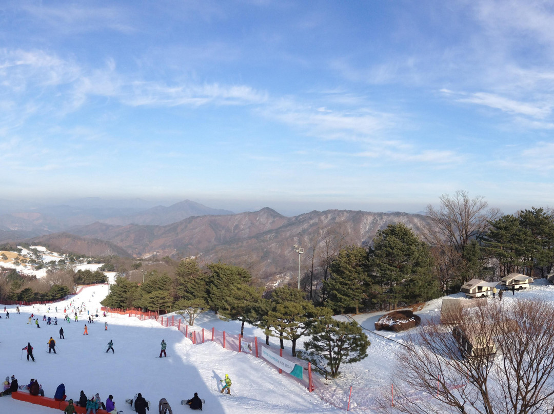 Daemyung Vivaldi Park Bowlingjang-洪川郡必去景点