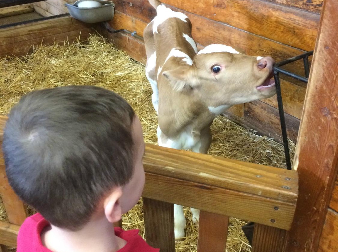 Lake Metroparks Farmpark-Kirtland必去景点