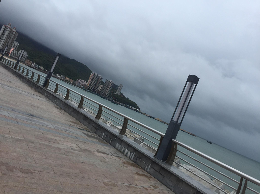 汕头南澳海岛森林公园-南澳县必去景点