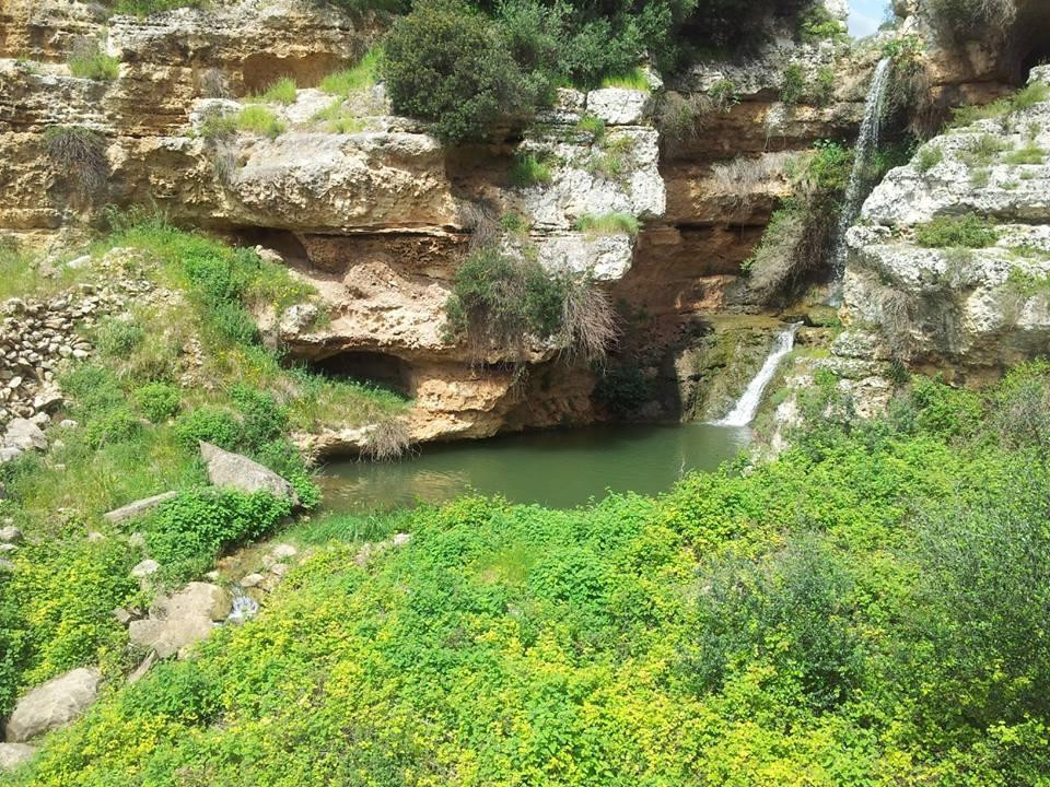 Grottaglie旅游景点-Gravina di Riggio