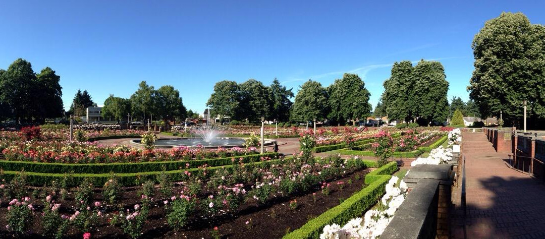Peninsula Park and Rose Gardens-波特兰必去景点
