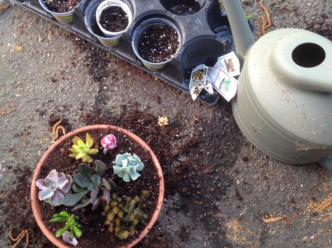 Farmer Joe's Gardens-沃灵福德必去景点