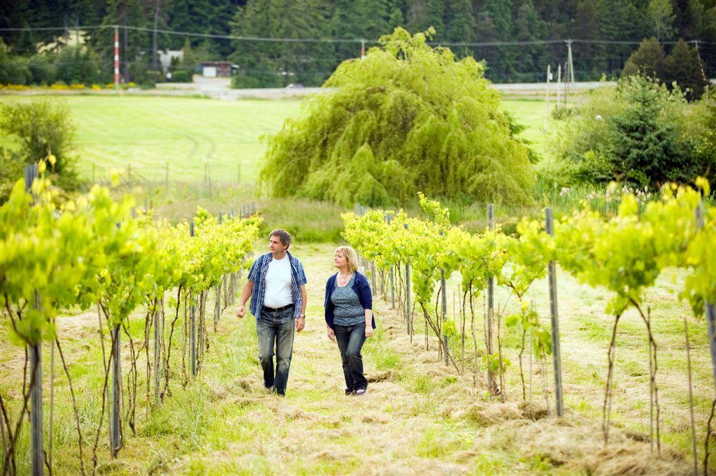 Rocky Creek Winery景点图片