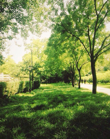 西城人定湖公园-北京市必去景点