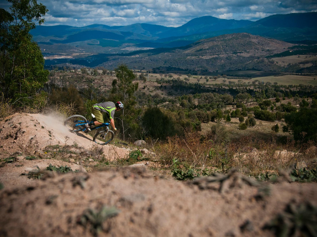 Stromlo Forest Park-Stromlo必去景点