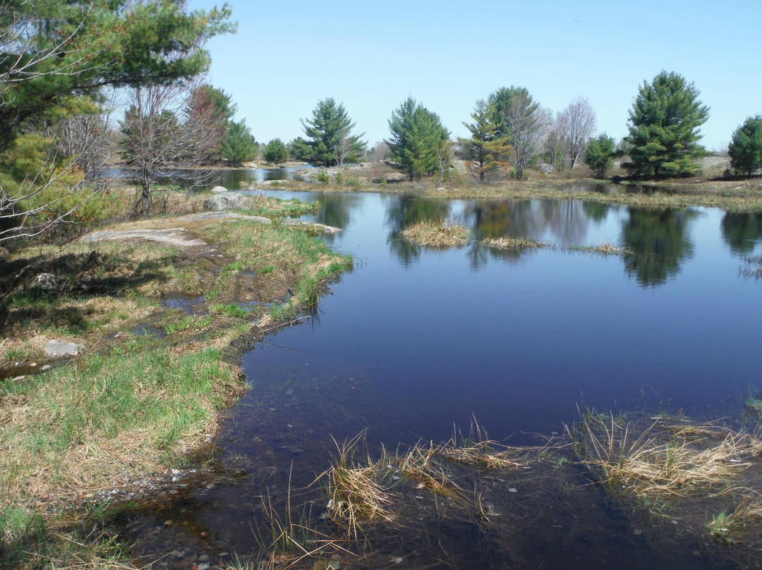 Queen Elizabeth II Wildlands Provincial Park-Kawartha Lakes必去景点
