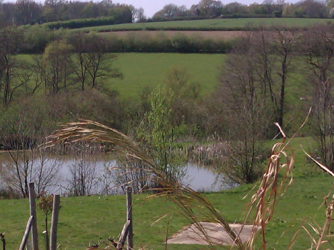 Bluebell Vineyard Estates景点图片