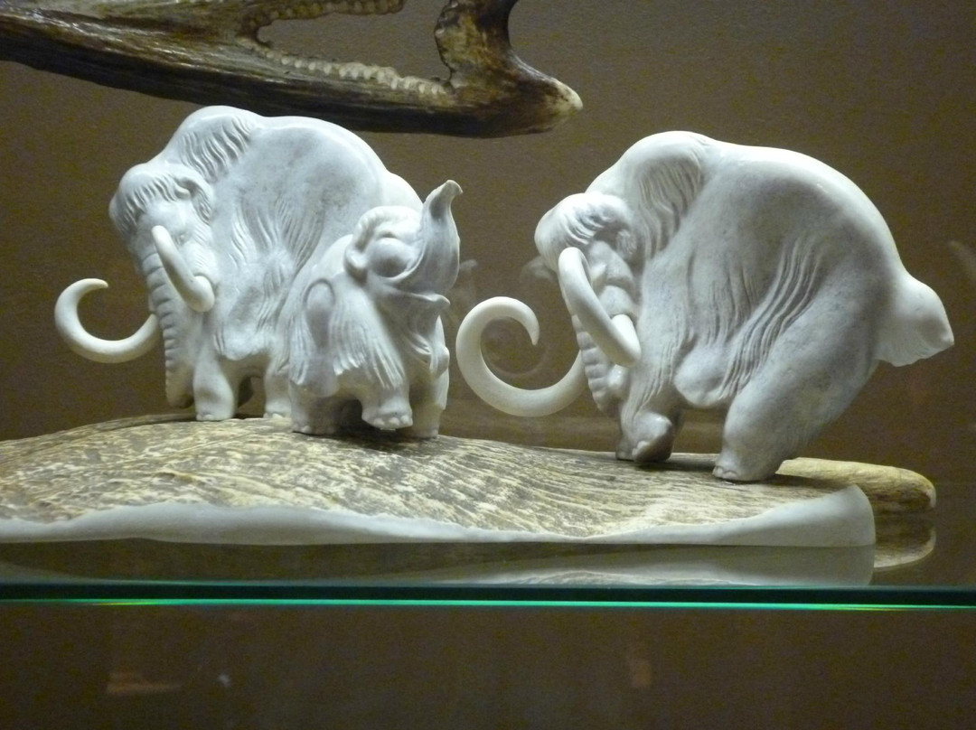 Treasury of The Republic of Sakha (Yakutia) Exhibition-雅库茨克必去景点