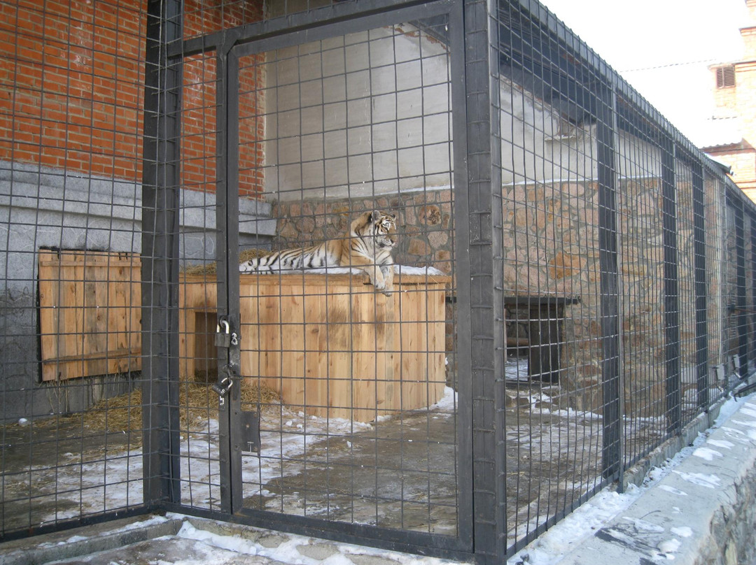 Chelyabinsk Zoo-车里雅宾斯克必去景点