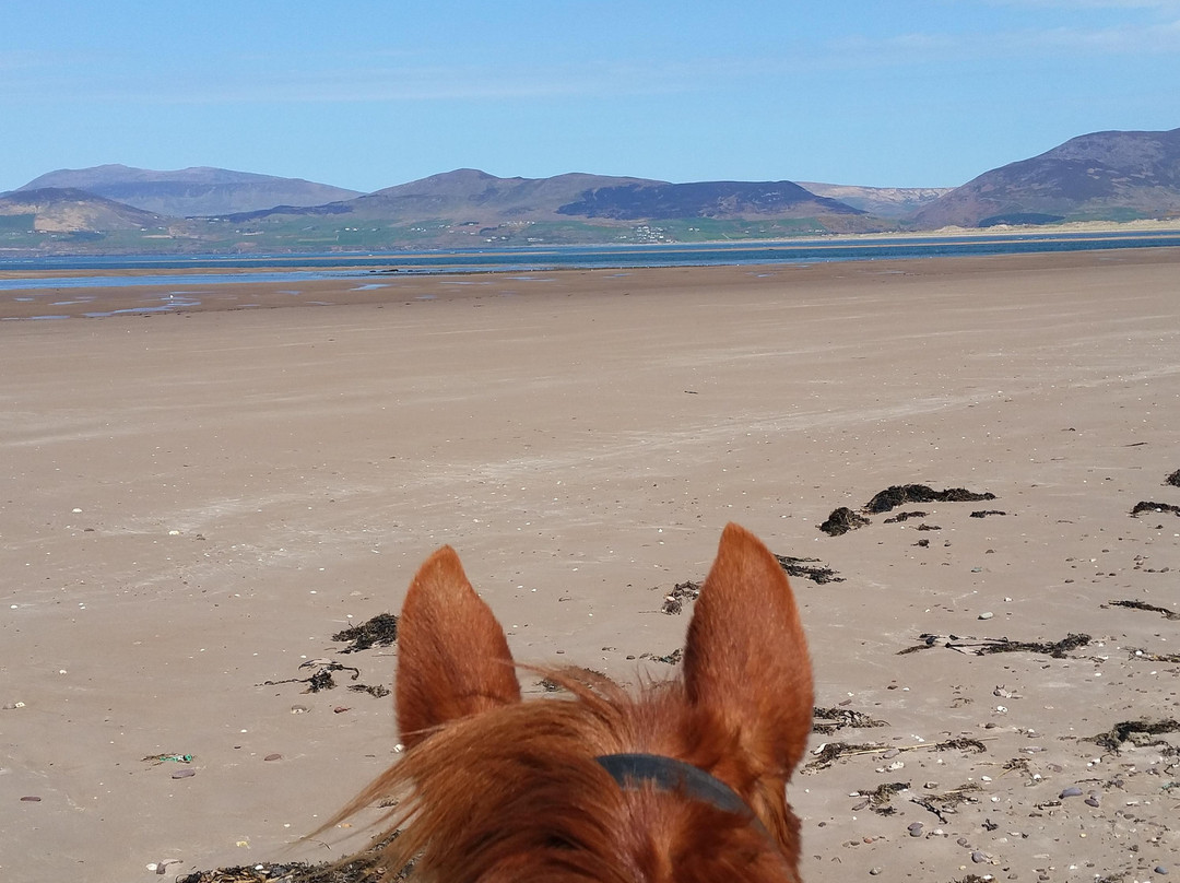 Rossbeigh Beach Horse Riding Centre-Glenbeigh必去景点