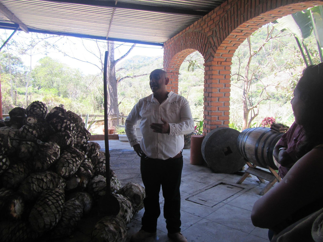 Summer's Ranch-瓦拉塔港必去景点