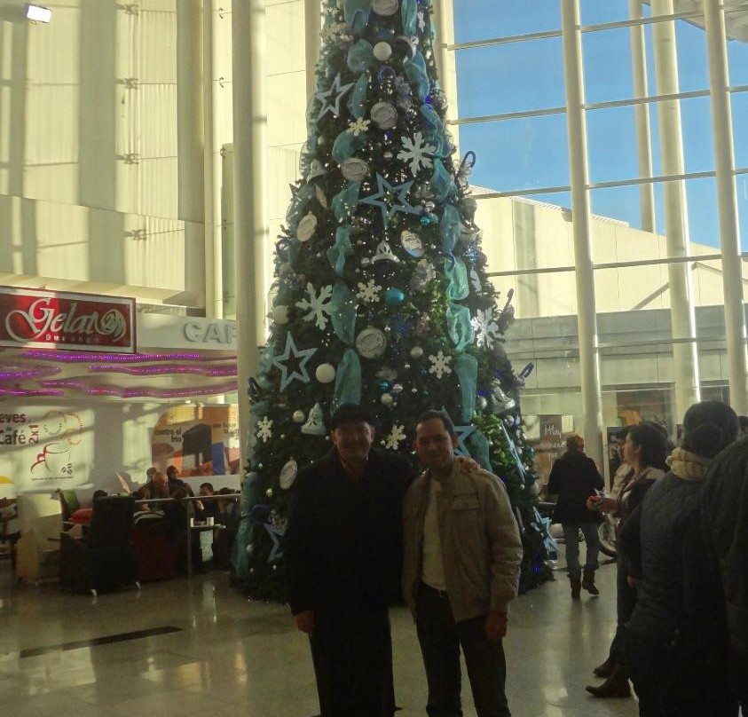 Paseo Durango景点图片