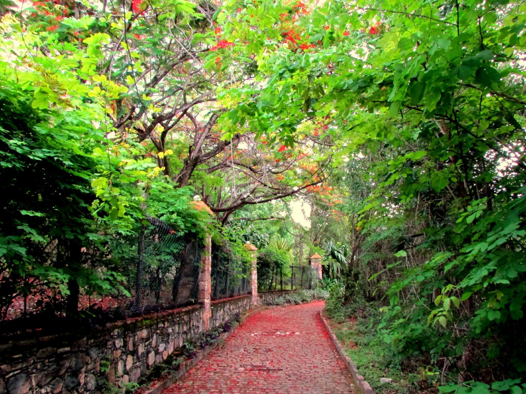 Parque da Muritiba景点图片