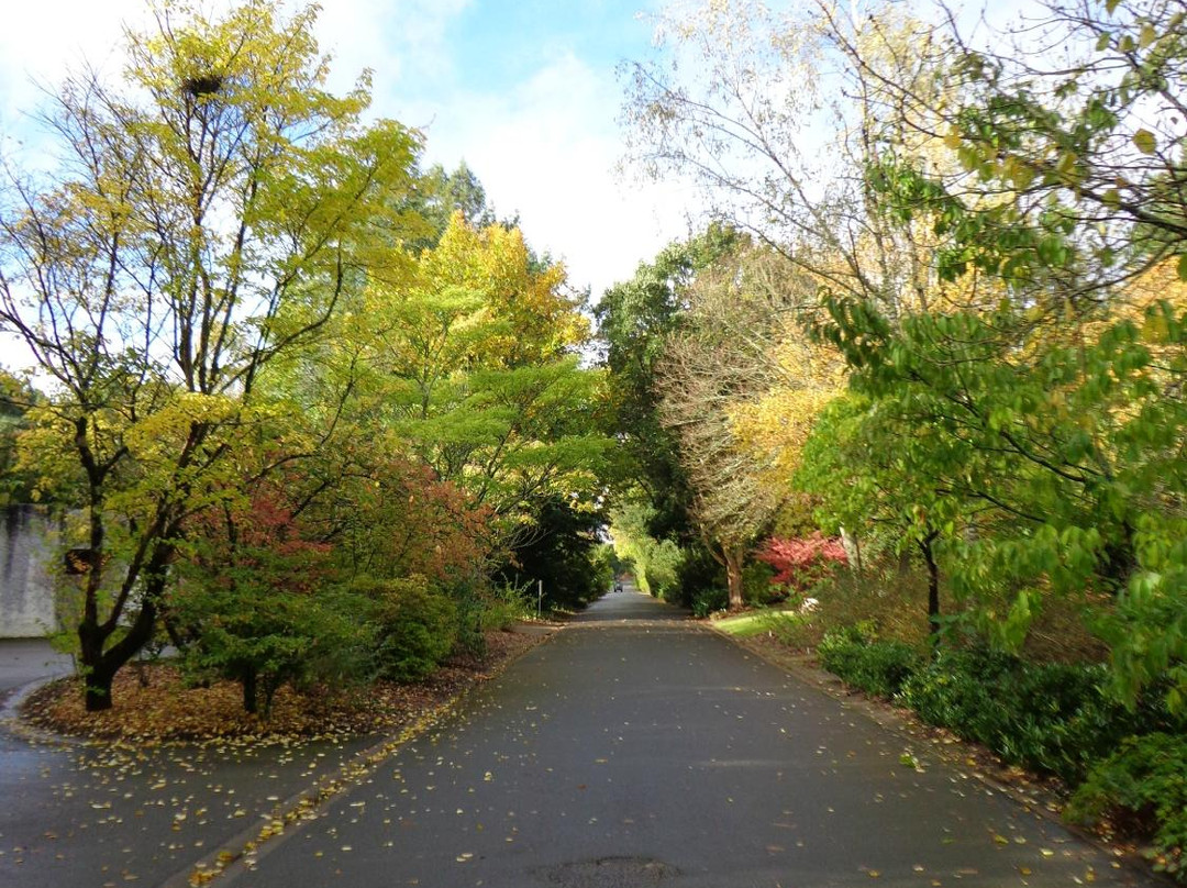 Arboretum Cimetière Parc景点图片