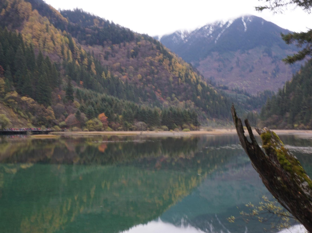 箭竹海景点图片