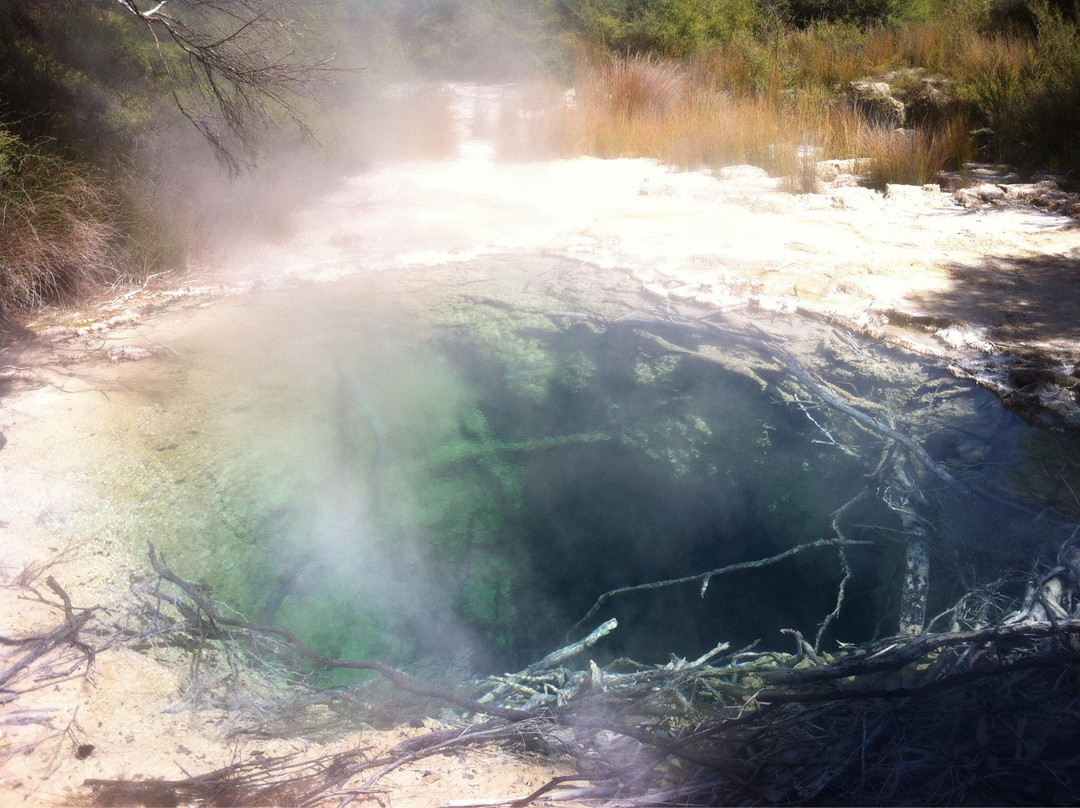 Tokaanu Thermal Pools景点图片