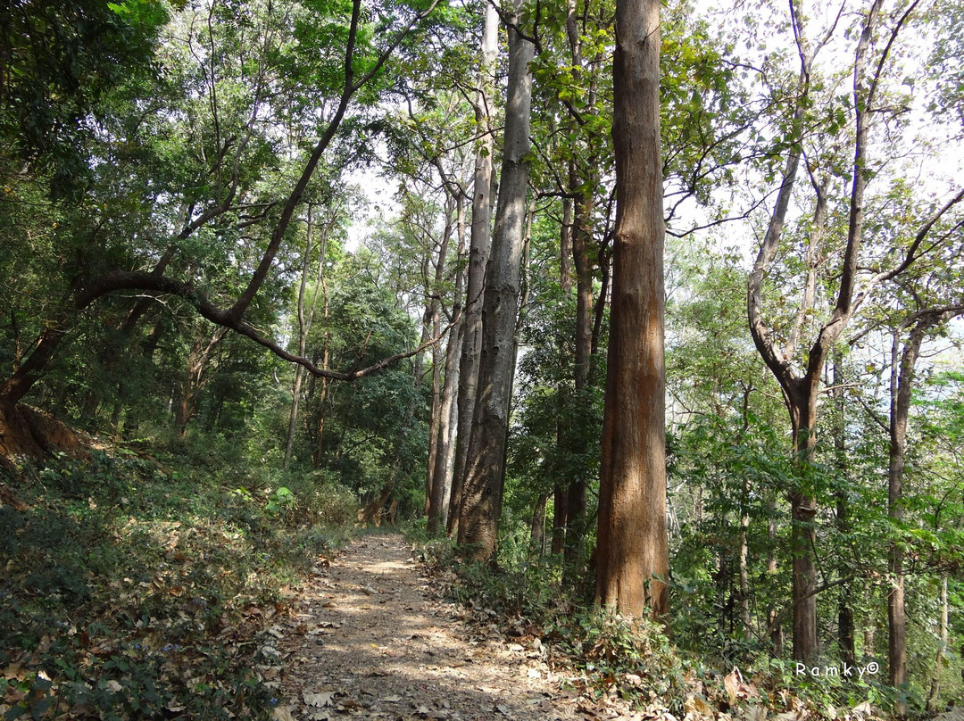 Dhoni Waterfalls-Palakkad必去景点