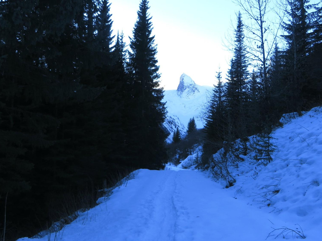Bugaboos Provincial Park景点图片
