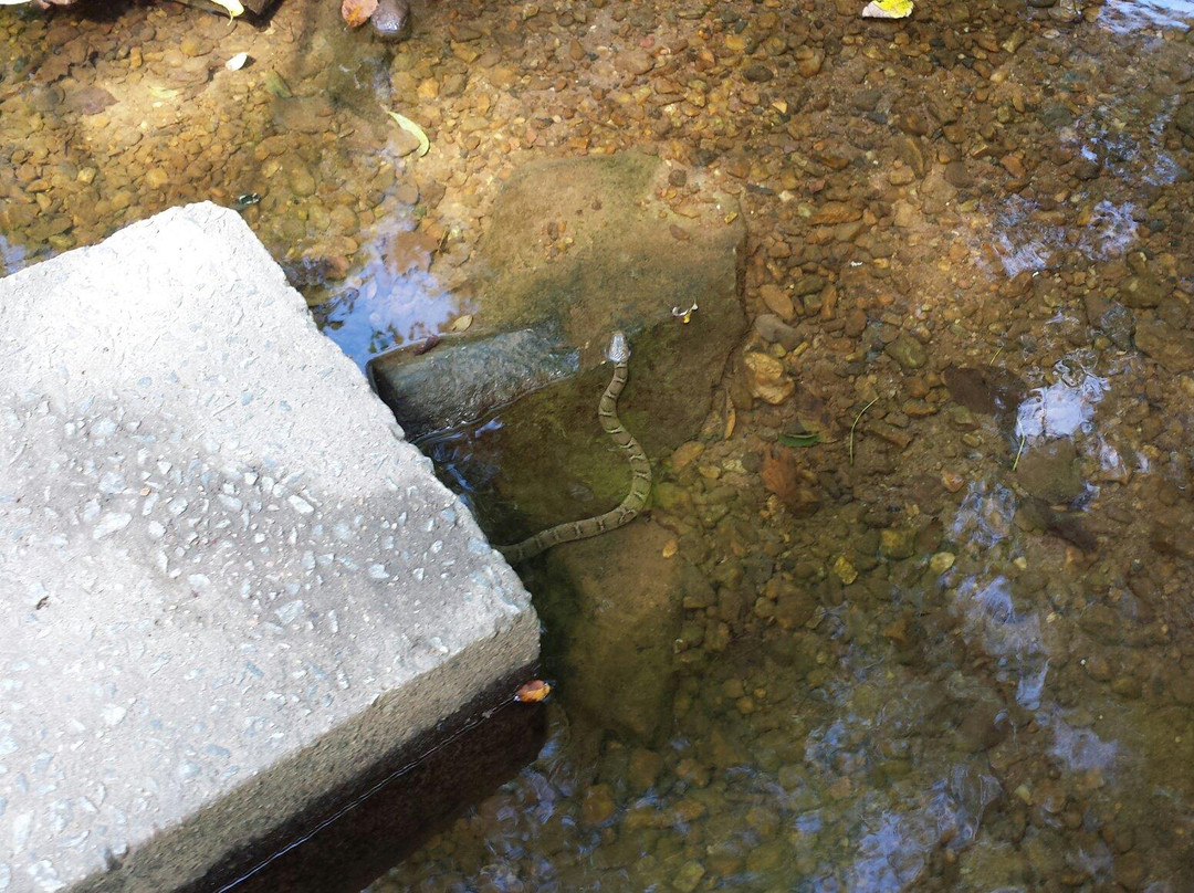 Ellanor C. Lawrence Park-森特维尔必去景点