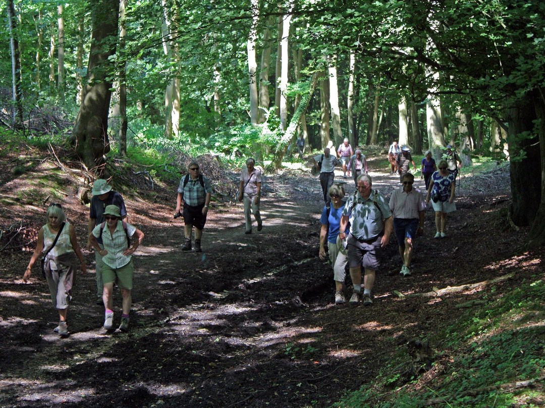 Aston Rowant Discovery Trail景点图片