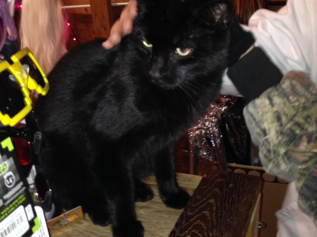 Sonny Acres Farm-West Chicago必去景点