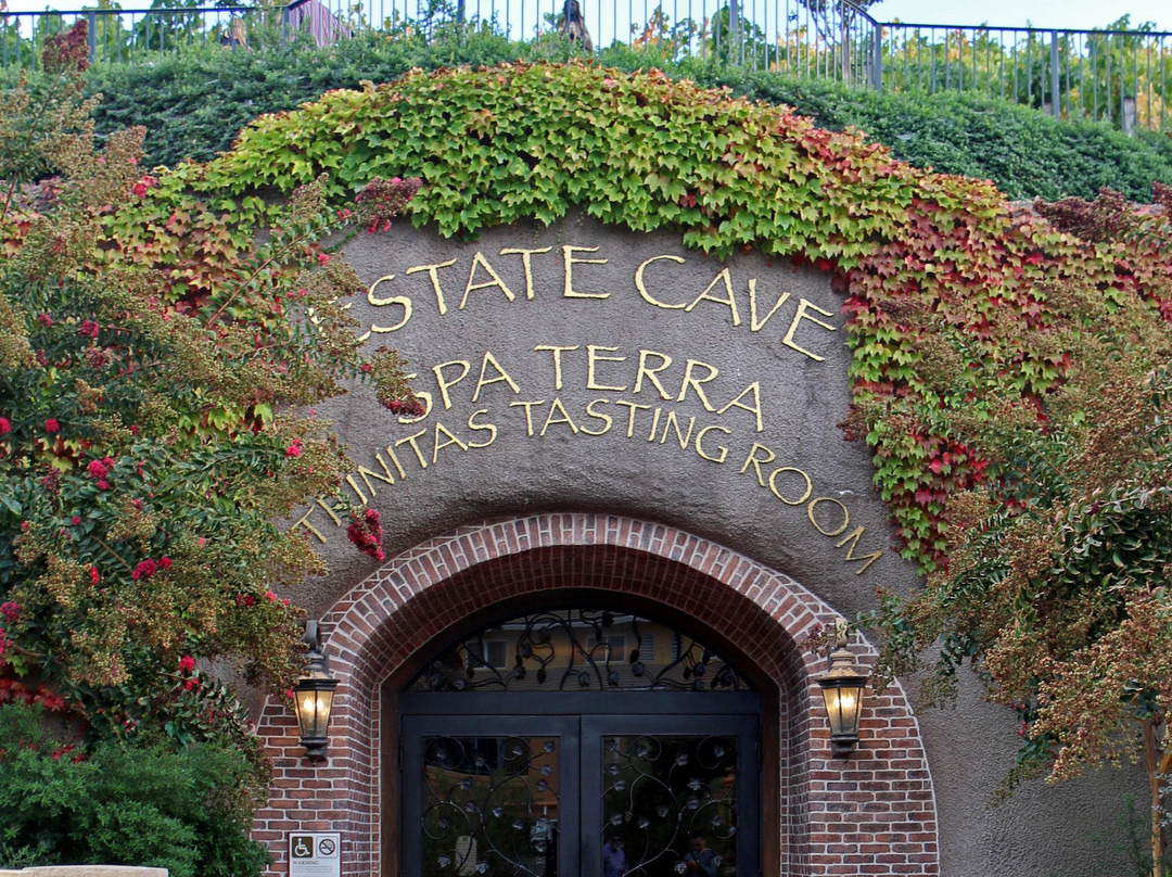 Trinitas Cellars-纳帕必去景点