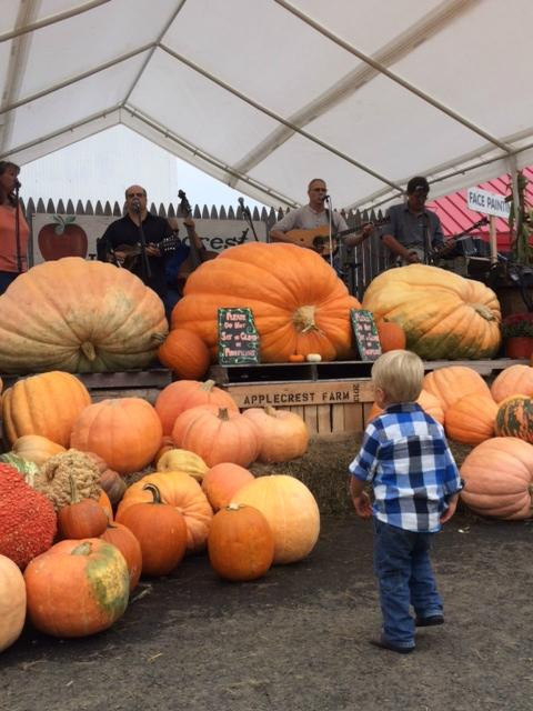 Applecrest Farm Orchards-Hampton Falls必去景点