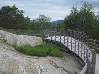 Ausevika Rock Carvings景点图片