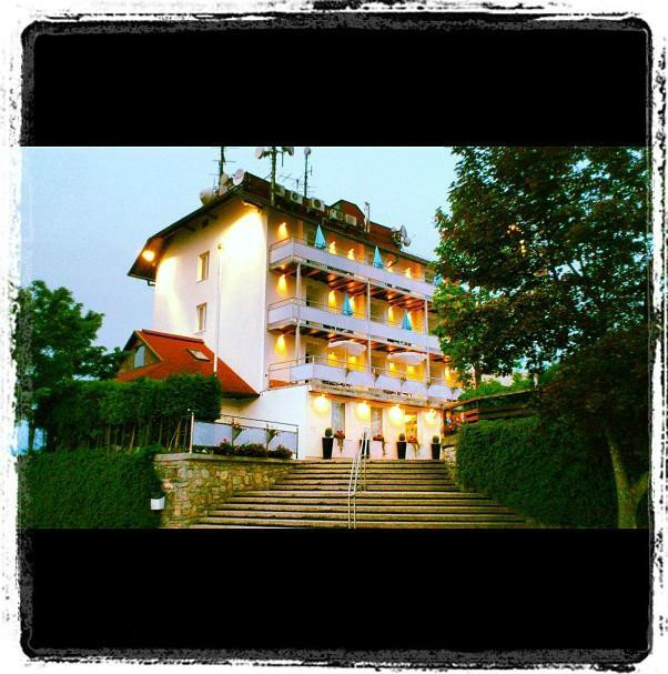 Kranj酒店住宿-Hotel Bellevue