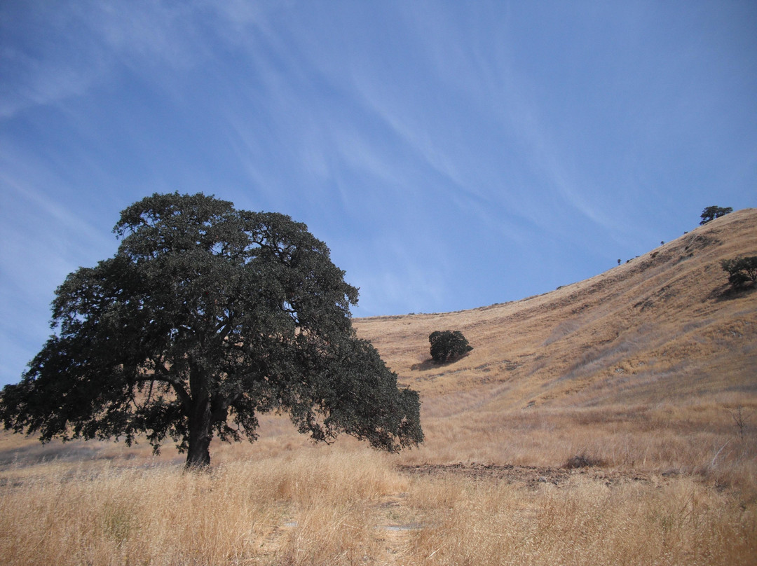 Shell Ridge Open Space-核桃溪必去景点